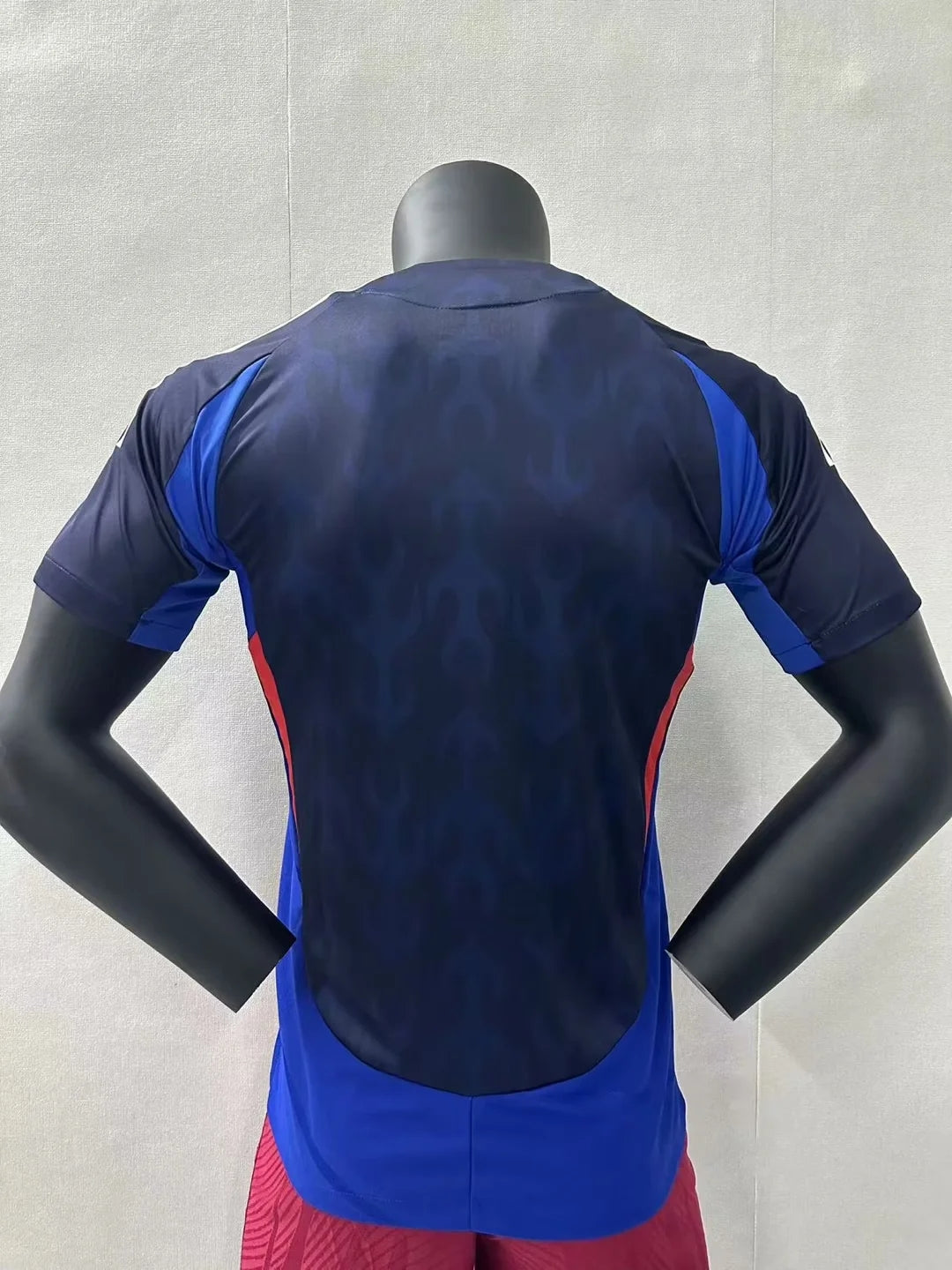 Authentic Japan Home 2024