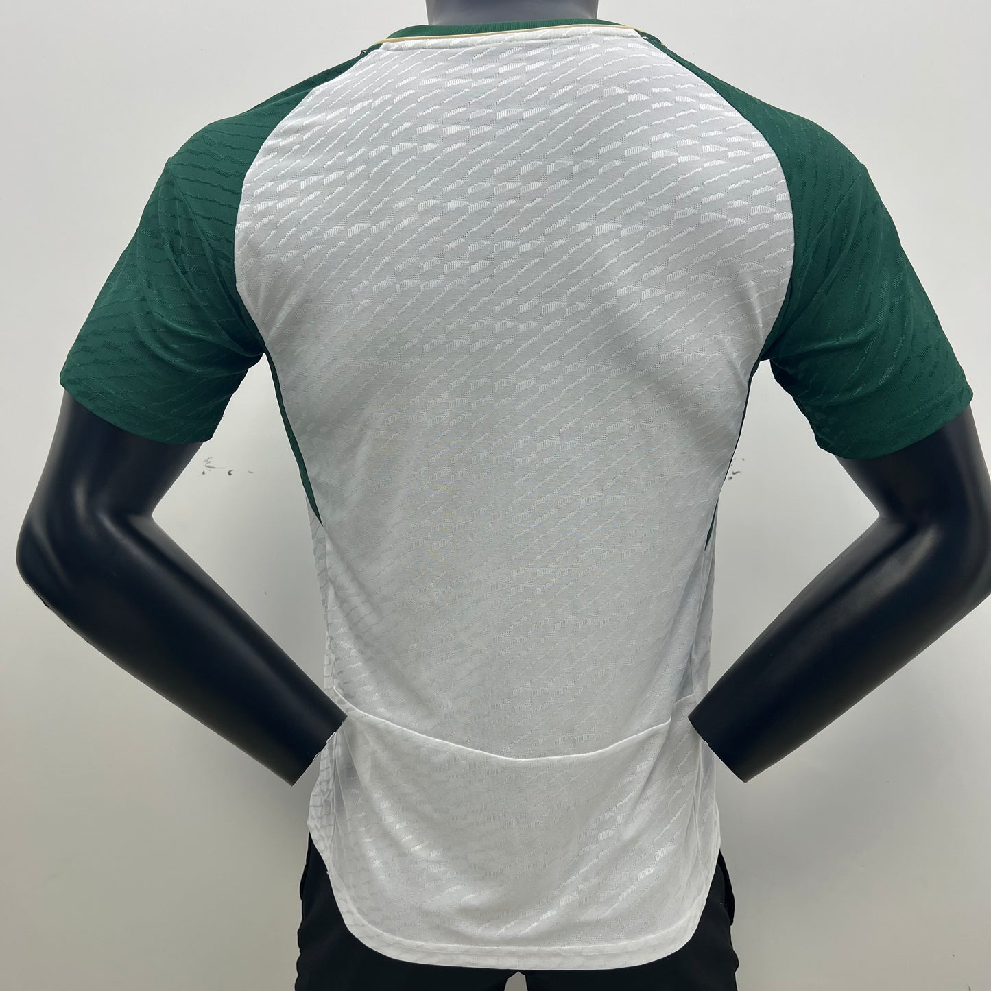 Authentic Saudi Arabia Exterior 2024