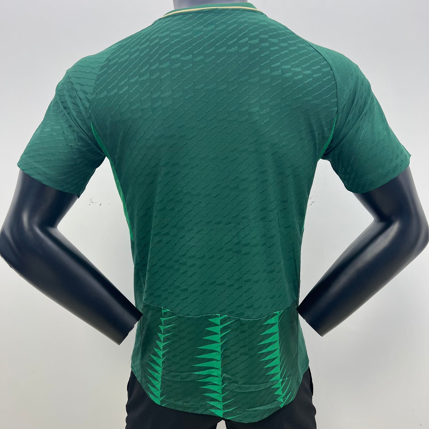 Saudi Arabia Authentic Home 2024