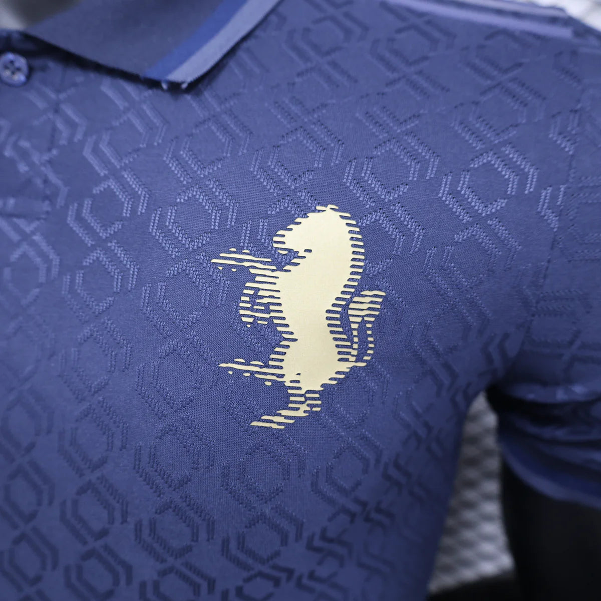 Juventus Authentic Third 24/25