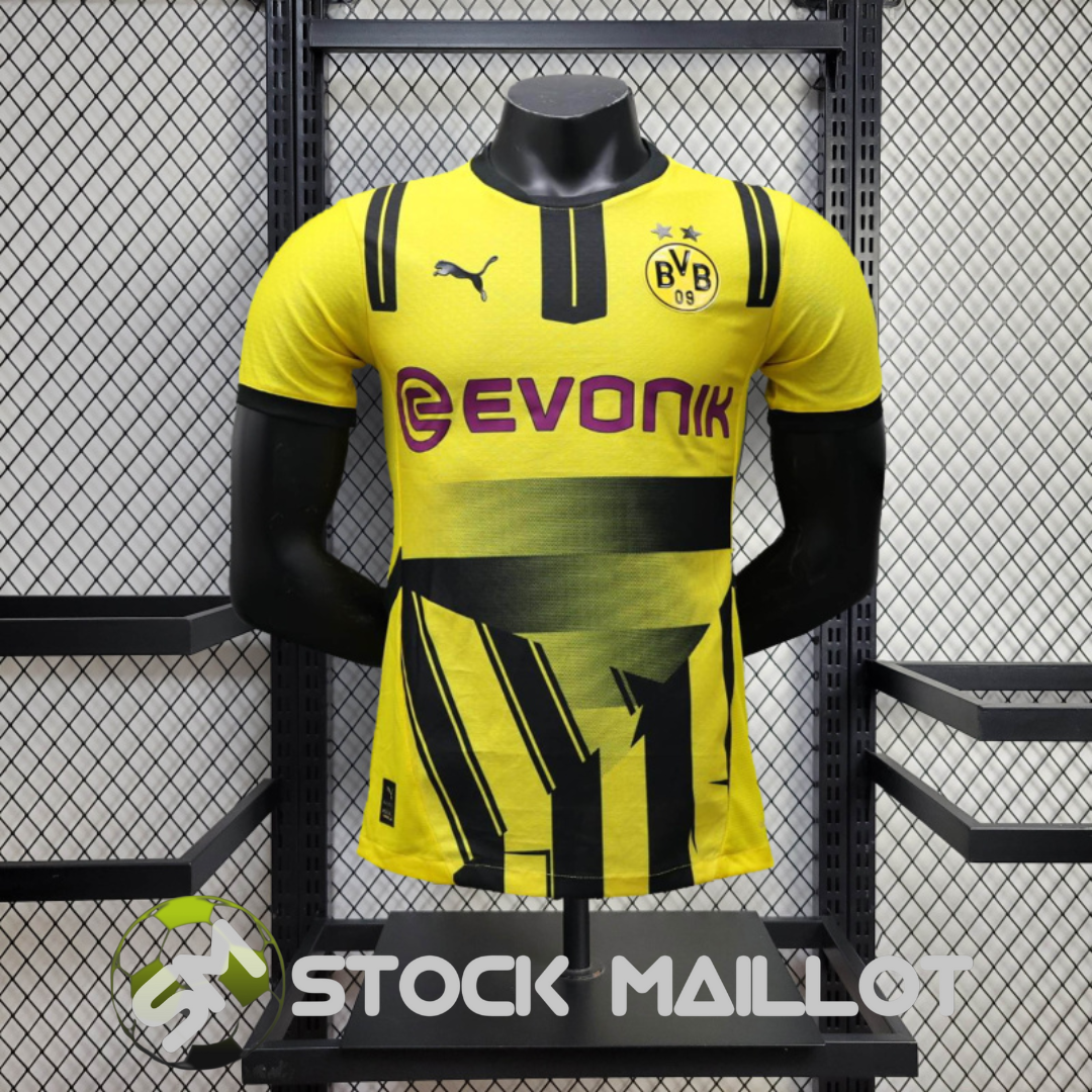 Borussia Dortmund Authentic Fourth 24/25